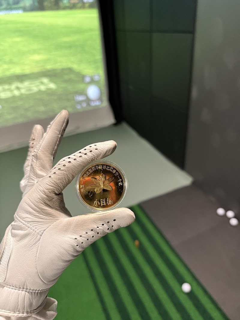 Photo of Daily Indoor Golf